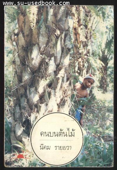 คนบนต้นไม้