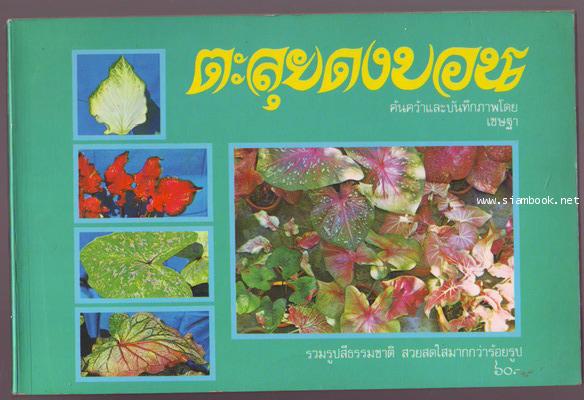 ตะลุยดงบอน ฉบับวณิพก-รอชำระเงิน order243032-