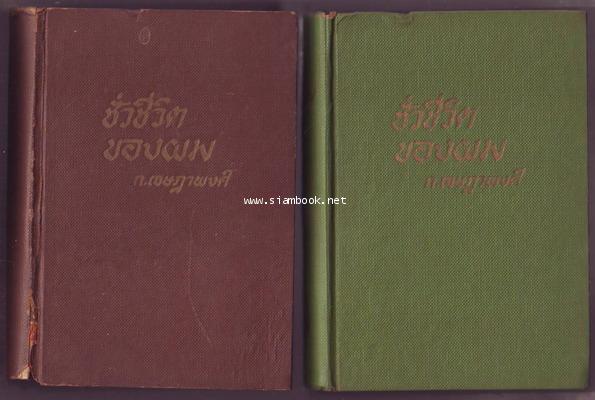 ชั่วชีวิตของผม (2เล่มชุด)