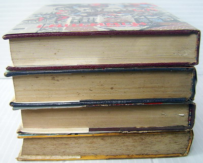 หนังสือชุดการลี้ภัย  4 เล่มครบชุด 2