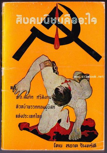 สังคมนิยมคืออะไร
