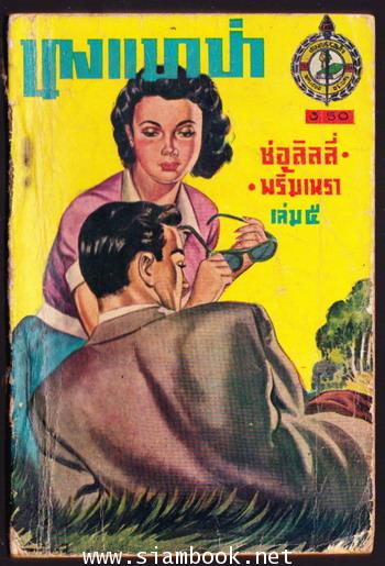 นางแมวป่า 10 เล่มครบชุด 9