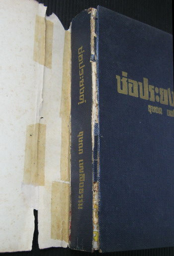 ช่อประยงคุ์ 5