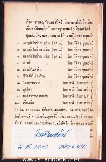 ล่องป่าในดงดิบ 1