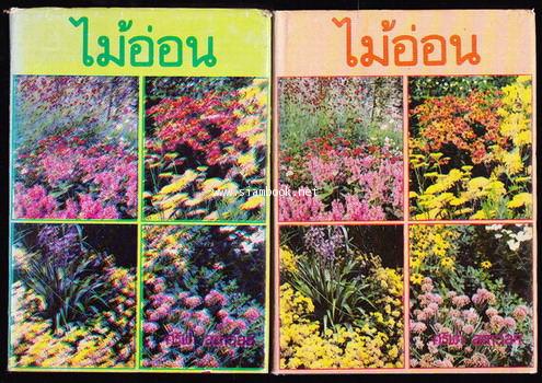 ไม้อ่อน (2เล่มชุด)