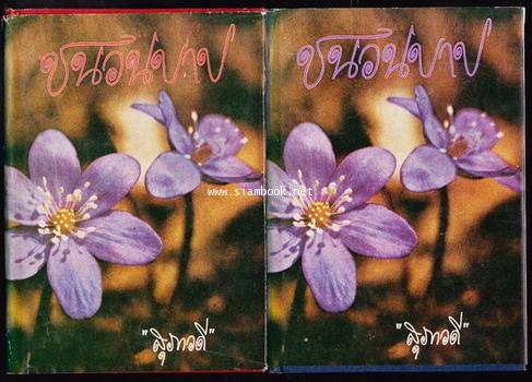 ชนวนบาป (2เล่มชุด)