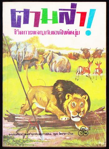 ตามล่า  (Lions on the Hunt)