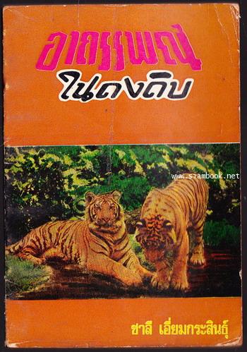 อาถรรพณ์ในดงดิบ