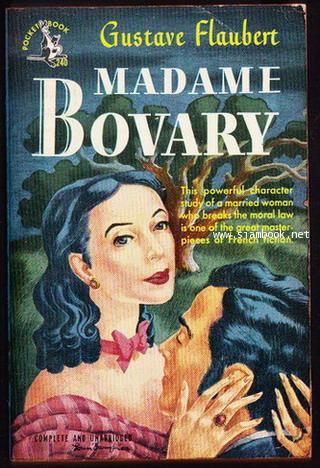Madame Bovary 0