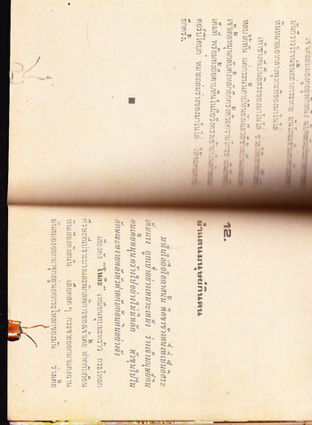 หนังสือภาพยนตร์ บุกแดนมนุษย์กินคน (The Mountain of the Cannibal God) 1
