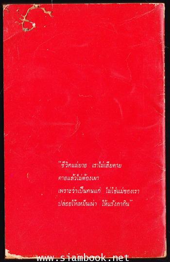 แม่ยายมหาภัย 1