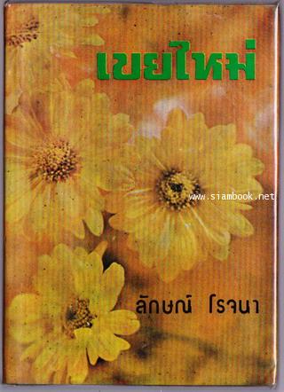 เขยใหม่