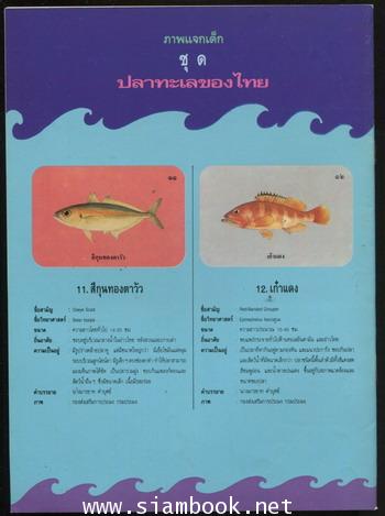 วารสารออมสินสาร ฉบับที่ 84 และ ฉบับที่ 88 (2เล่มชุด) 2