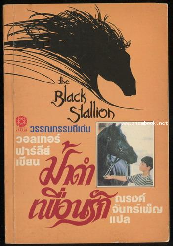 ม้าดำ (The Black Stallion)