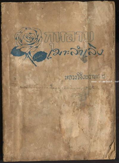 กุหลาบเมาะลำเลิง *order 2017110902211291* 1