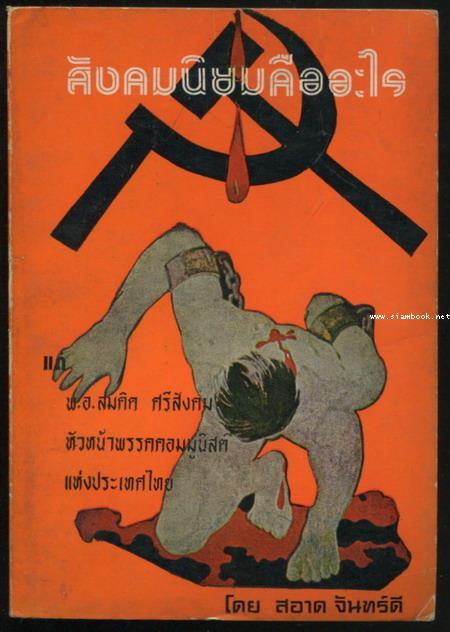 สังคมนิยมคืออะไร
