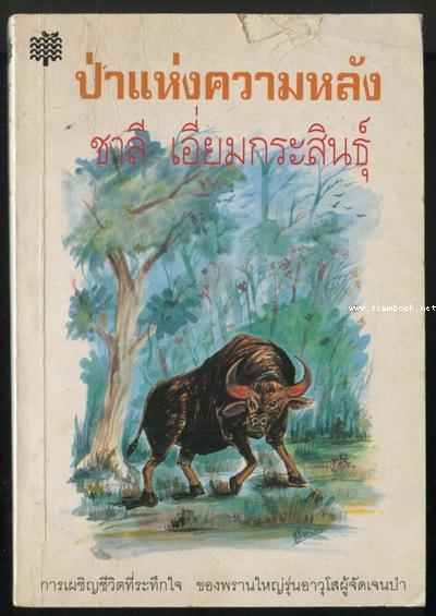 ป่าแห่งความหลัง