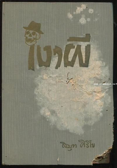 เงาผี *ตำหนิ*