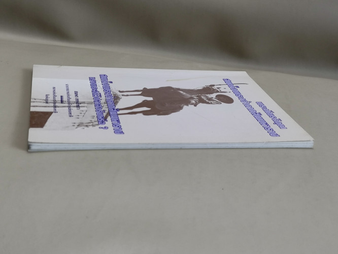 พระเกียรติคุณสมเด็จพระเจ้าตากสินมหาราช , สมเด็จพระเจ้าตากสินมหาราชทรงพระสติวิปลาสจริงหรือ? 4