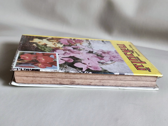 วิธีปลูกและผสมพันธุ์กล้วยไม้ (กล้วยไม้ไทยและต่างประเทศ) / ผลงานของ ระพีภัทร์ 4