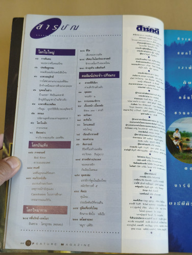 นิตยสารสารคดี ฉบับที่ 96 น.พ.บุญส่ง เลขะกุล , ไลเคน , ดาระอั้ง 9