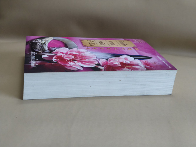 บันทึกองค์หญิงจำเป็น ผลงานของ เฟิงเหม่ยหลิง 4