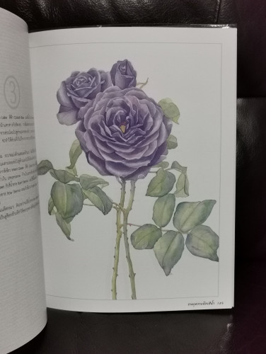 วาดกุหลาบด้วยสีน้ำ Shabha Shine's Sketchbook 2