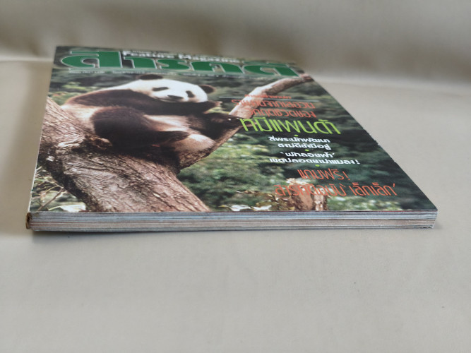นิตยสารสารคดี ฉบับที่ 57 หมีแพนด้า , สี่พระนักพัฒนา , ผักลอยฟ้า , กาญจนบุรี 5