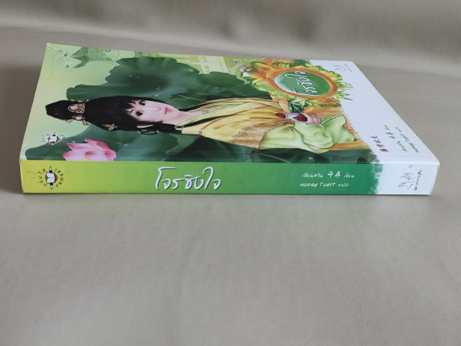 โจรชิงใจ / เชียนสวิน (Qian Xun) แปลโดย Honey Toast 2