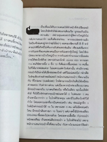 ไกด์ร่วมสมัย ตอน2 / ผลงานของ พิมาน วิมลมาลย์ 8