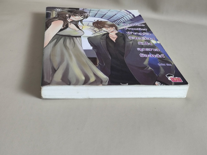Surprise Frontier ฝ่ากฎรักหักเหลี่ยมหัวใจคุณชายร้อยเล่ห์ / ผลงานของ ปุยฝ้าย 5