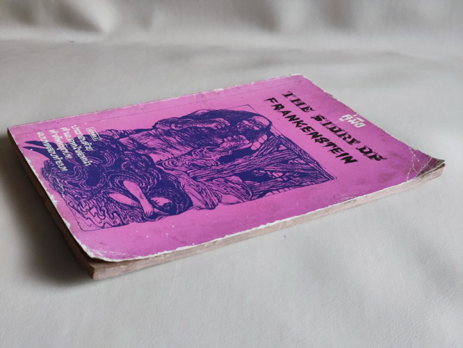 คู่มือ The Story of Frankenstein / ผลงานของ Mary Shelley เรียบเรียงโดย Carol Christian 4