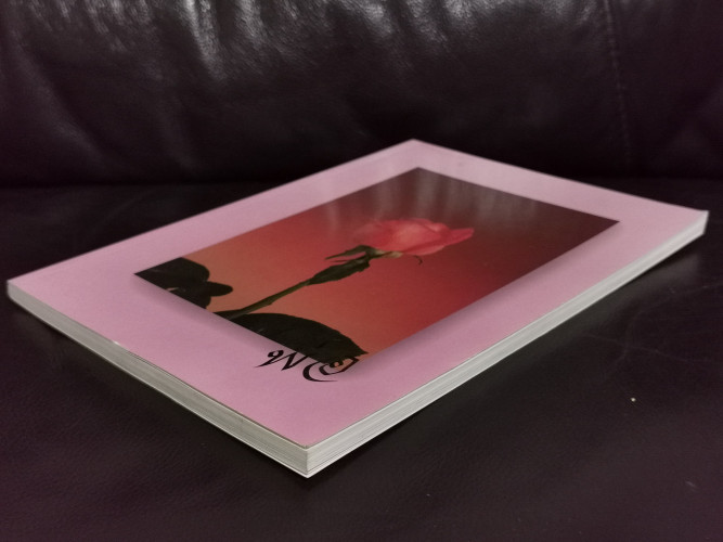 บัญชีตัดจุก , พระราชปรารภว่าด้วยเหตุแห่งความตายในท่ามกลางอายุ อนุสรณ์ นายโฮ้ พันธ์เลขา 6