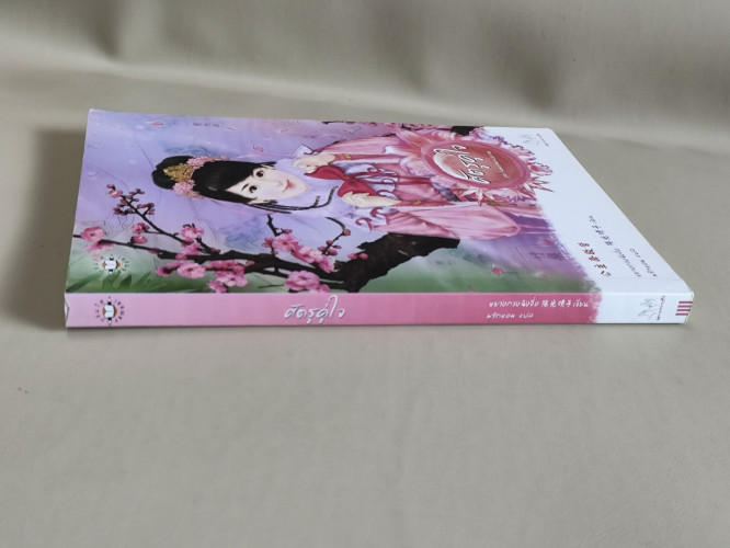 ศัตรูคู่ใจ ชุด โฉมงามแฝงกาย / หยางกวงฉิงจื่อ (Yang Guang Qing Zi) แปลโดย พริกหอม 3