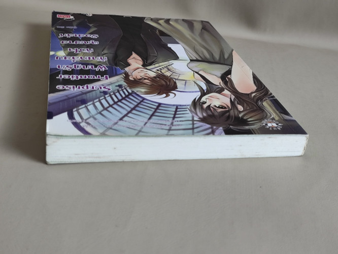 Surprise Frontier ฝ่ากฎรักหักเหลี่ยมหัวใจคุณชายร้อยเล่ห์ / ผลงานของ ปุยฝ้าย 3