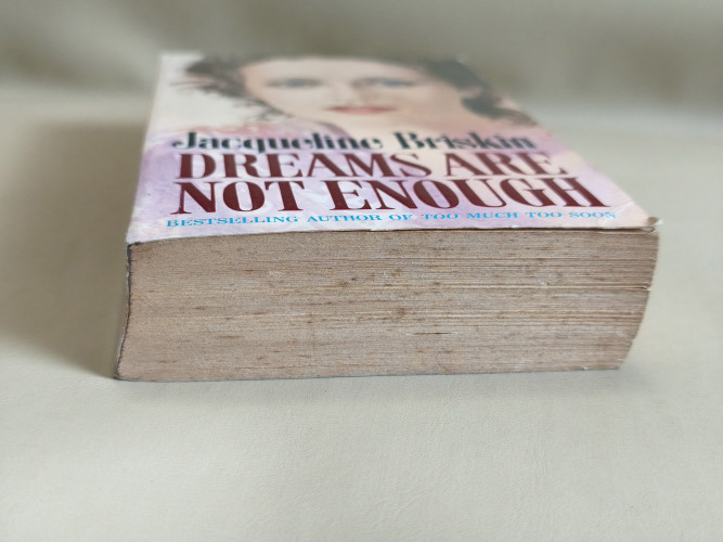 Dreams Are Not Enough By Jacqueline Briskin 5