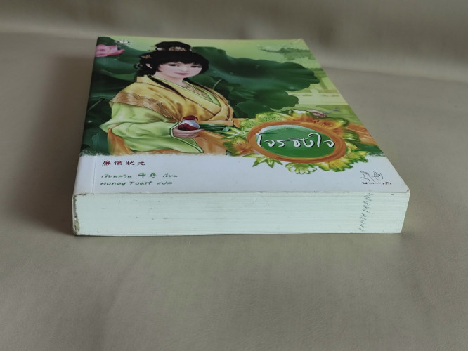 โจรชิงใจ / เชียนสวิน (Qian Xun) แปลโดย Honey Toast 5