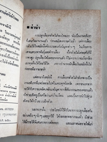 วิธีปลูกและผสมพันธุ์กล้วยไม้ (กล้วยไม้ไทยและต่างประเทศ) / ผลงานของ ระพีภัทร์ 8