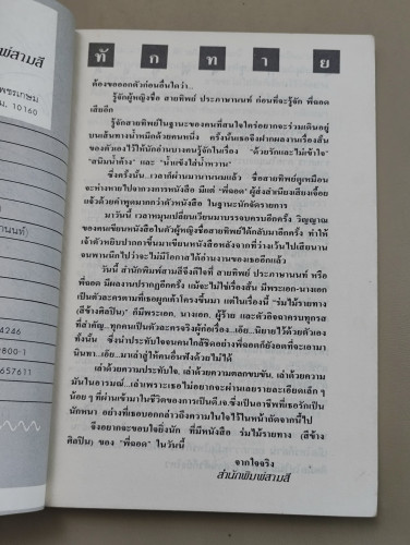 ร่มไม้รายทาง (สีข้างศิลปิน) / พี่ฉอด (สายทิพย์ ประภาษานนท์) 7