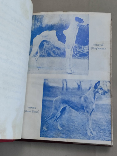 คู่มือเลี้ยงสุนัข วิธีฝึก เลี้ยง และเพาะพันธุ์สุนัข พร้อมด้วยวิธีรักษาพยาบาล ของ ส้ตวแพทย์ D.V.M. 9