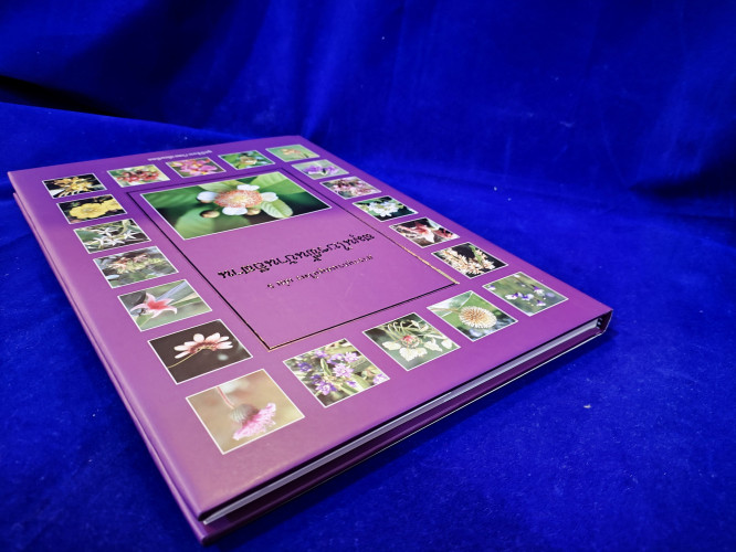 สารานุกรมสมุนไพร เล่ม 5 สมุนไพรพื้นบ้านอีสาน 3