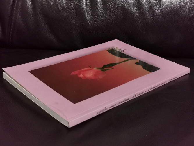 บัญชีตัดจุก , พระราชปรารภว่าด้วยเหตุแห่งความตายในท่ามกลางอายุ อนุสรณ์ นายโฮ้ พันธ์เลขา 5