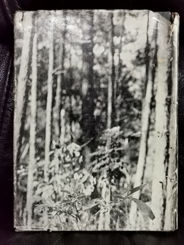 ปัญหาประจำวัน ชุดที่สาม / ม.ร.ว.คึกฤทธิ์ ปราโมช ใบหุ้มปก จากฝีมือถ่ายภาพโดย 'รงค์ วงษ์สวรรค์ 9