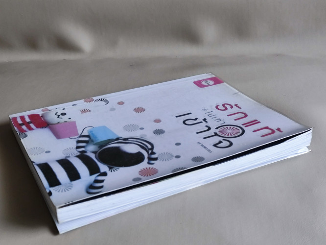 รักแท้ ไม่เท่า เข้าใจ / นายแทน (ประทีป เพ็งทอง) 4