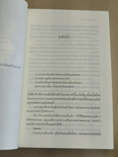 เพชรไร้กะรัต ผลงานของ นวตา 8