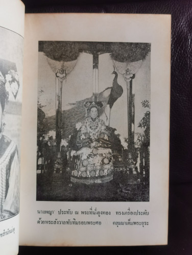 นางพญาเม่งจู / เสฐียร พันธรังษี 8