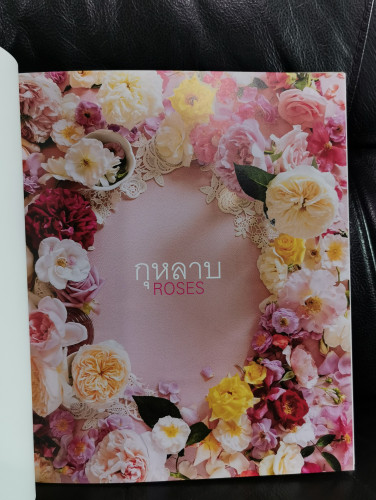 กุหลาบ : Roses / หนังสือกุหลาบที่สมบูรณ์ที่สุดของเมืองไทย ของ พจนา นาควัชระ 8
