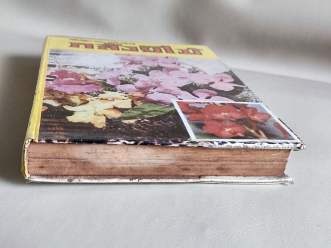 วิธีปลูกและผสมพันธุ์กล้วยไม้ (กล้วยไม้ไทยและต่างประเทศ) / ผลงานของ ระพีภัทร์ 5