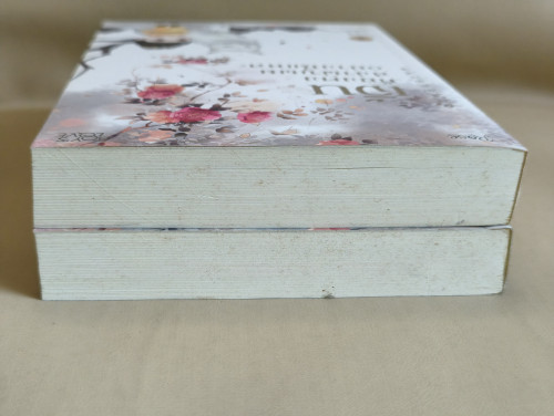 เจิ้นก็ยังคงสง่าผ่าเผยอย่างนี้แหละ เล่ม1-2(2เล่มชุด)ผลงานของ กงจื่อจั้น (Gong Zi Zhan) แปลโดย ไช่ฉิง 3