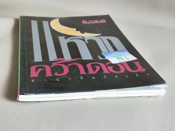 แหวกฟ้าคว้าดอน / ผลงานของ ดอนเขียน 5